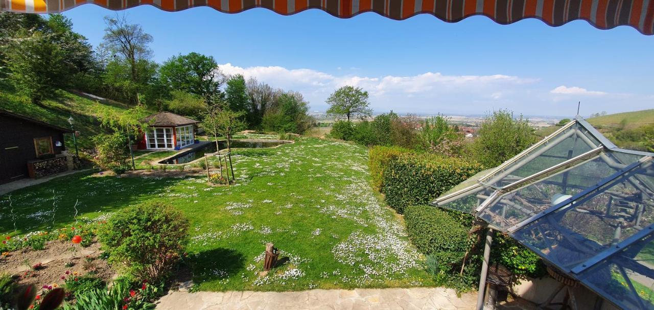Paradies 1 Ballrechten-Dottingen ภายนอก รูปภาพ