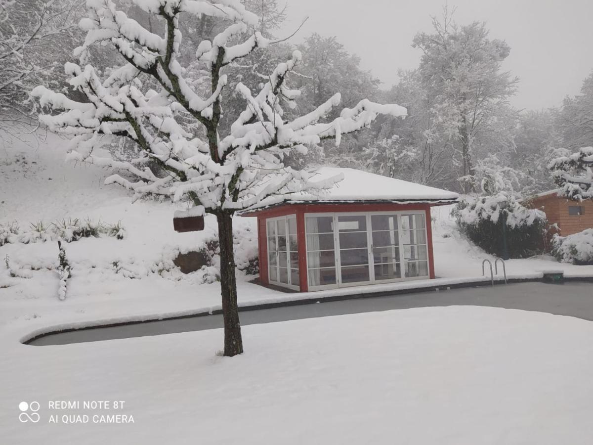 Paradies 1 Ballrechten-Dottingen ภายนอก รูปภาพ