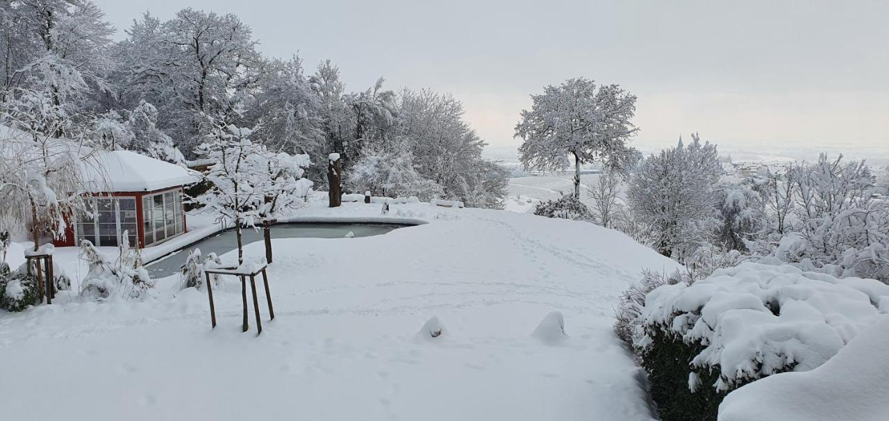 Paradies 1 Ballrechten-Dottingen ภายนอก รูปภาพ