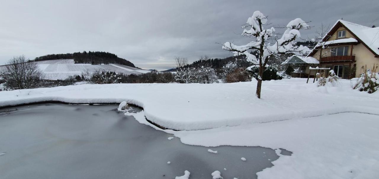 Paradies 1 Ballrechten-Dottingen ภายนอก รูปภาพ