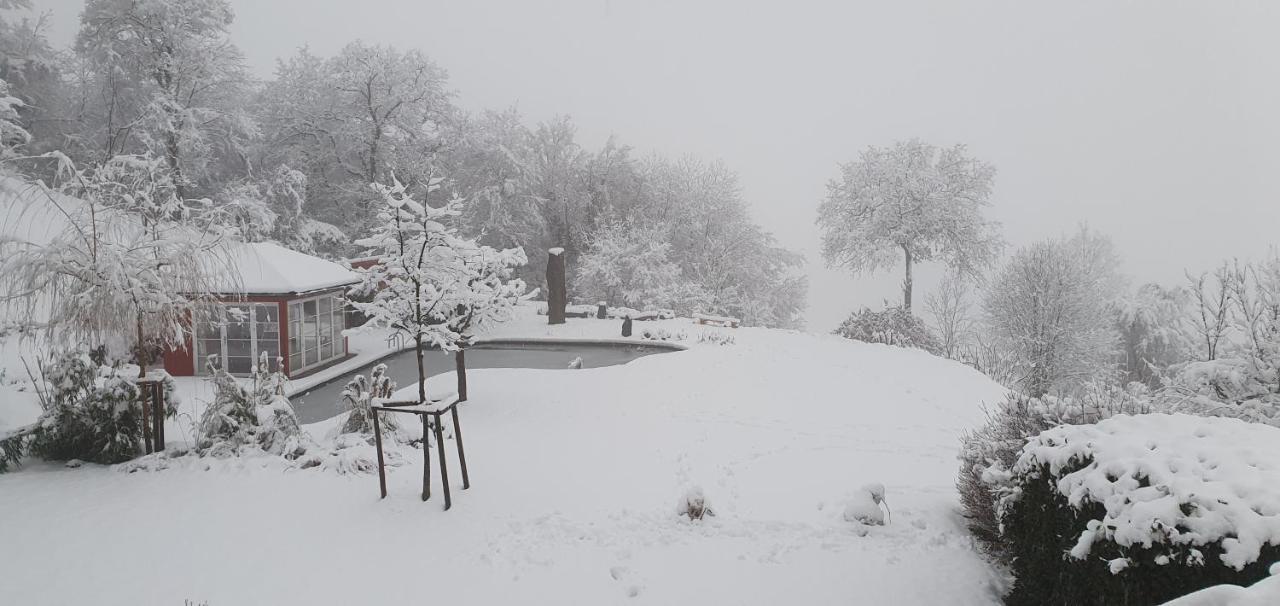 Paradies 1 Ballrechten-Dottingen ภายนอก รูปภาพ
