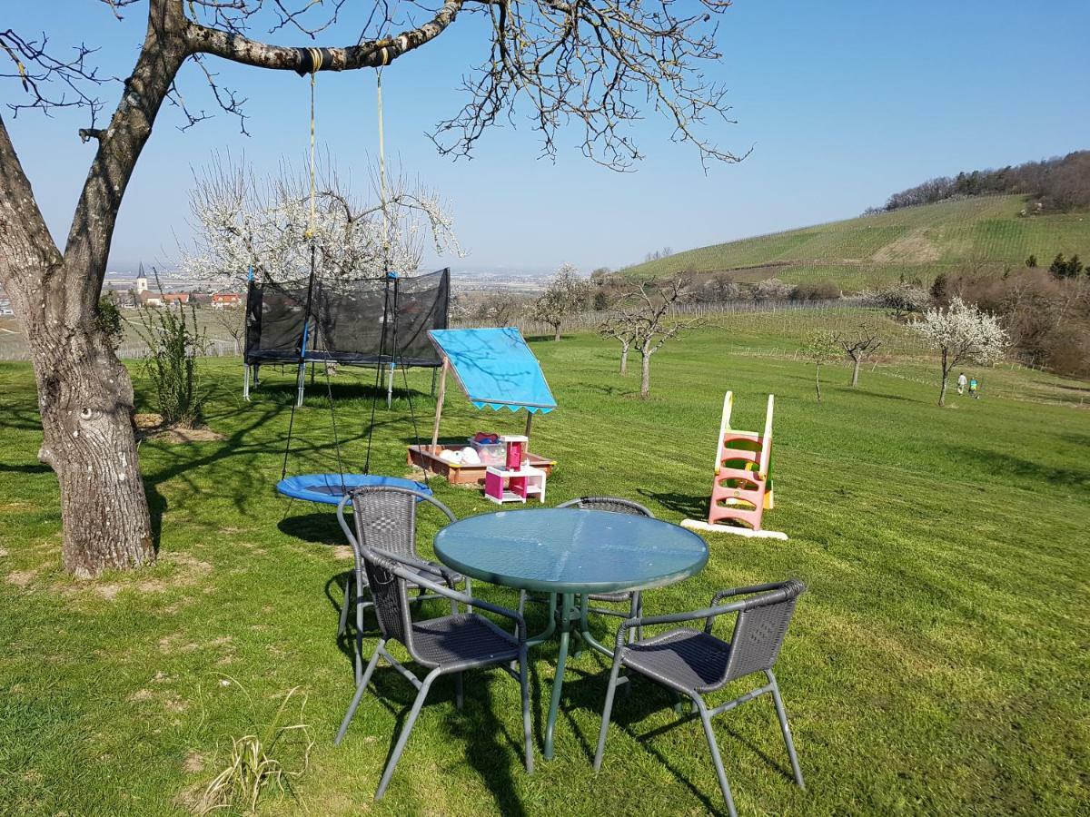 Paradies 1 Ballrechten-Dottingen ภายนอก รูปภาพ