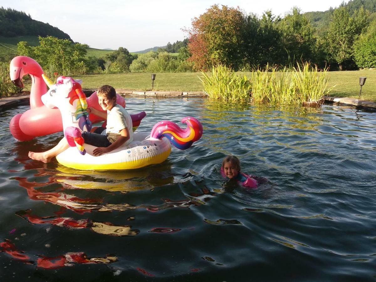 Paradies 1 Ballrechten-Dottingen ภายนอก รูปภาพ